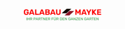logo transparent png